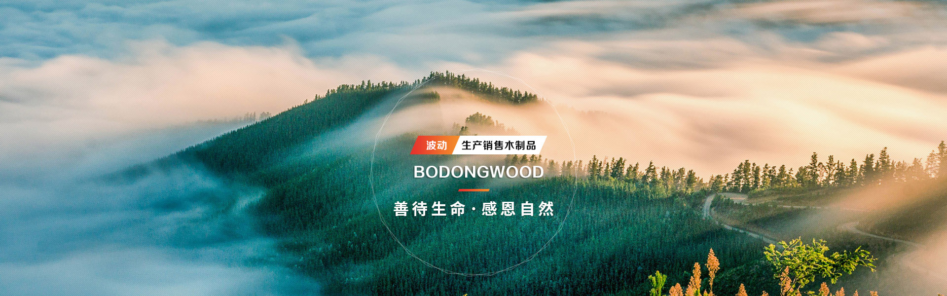 首頁(yè)(yè)banner